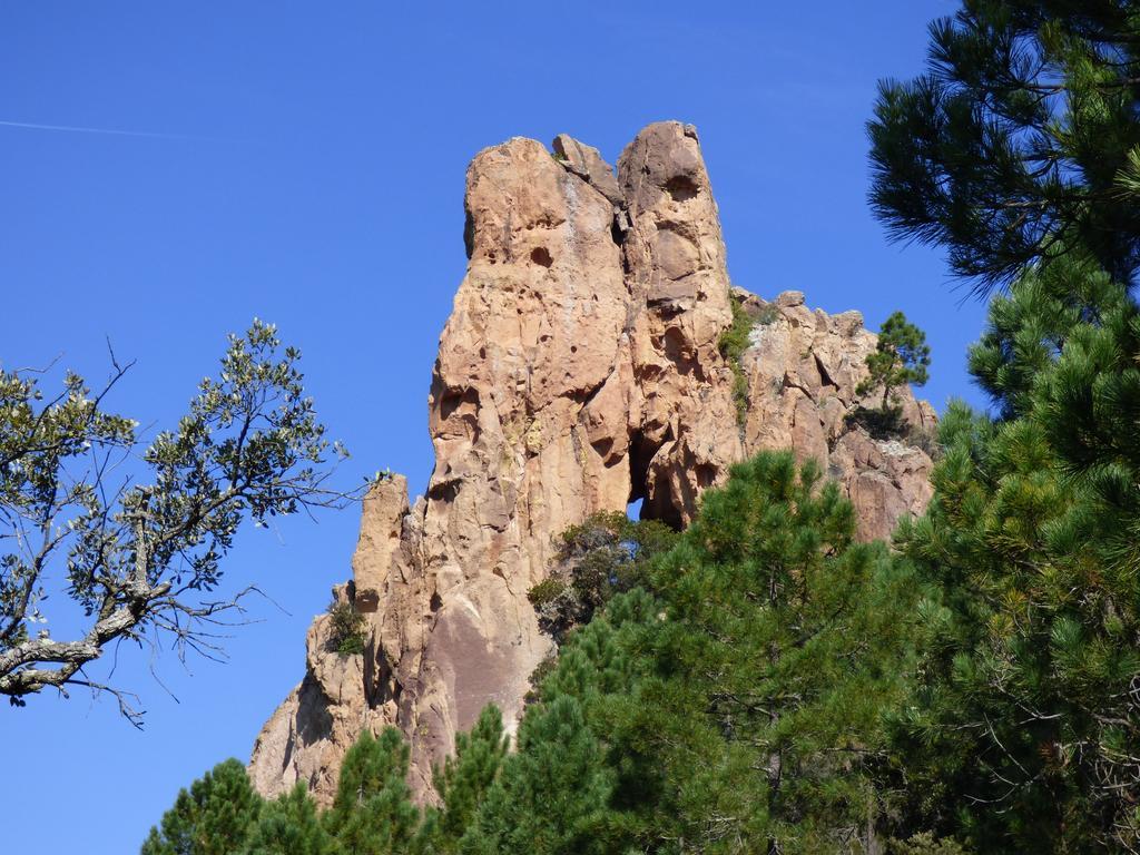 Chambres D'Hotes Vue Mer L'Esterel Panoramique Saint-Jean-de-l'Esterel Exteriör bild