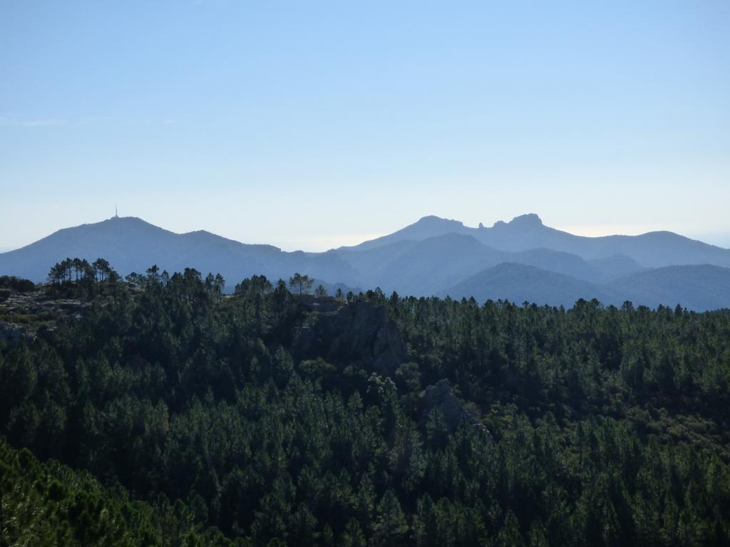Chambres D'Hotes Vue Mer L'Esterel Panoramique Saint-Jean-de-l'Esterel Exteriör bild